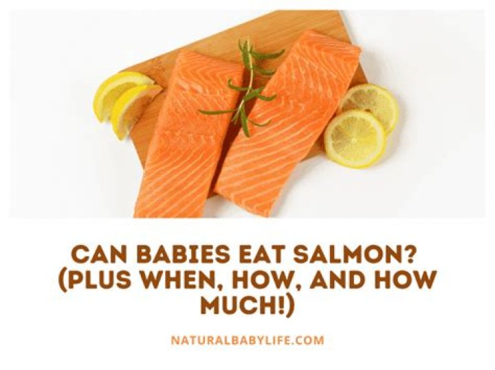 Can babies eat salmon?