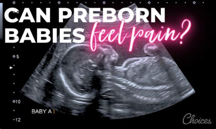 Can babies remember being in the womb?