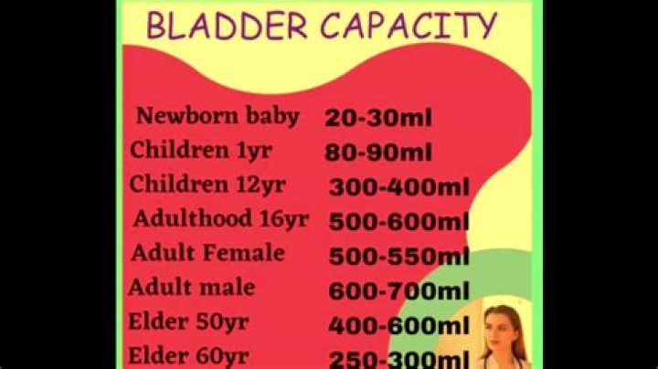 Can baby block my bladder?