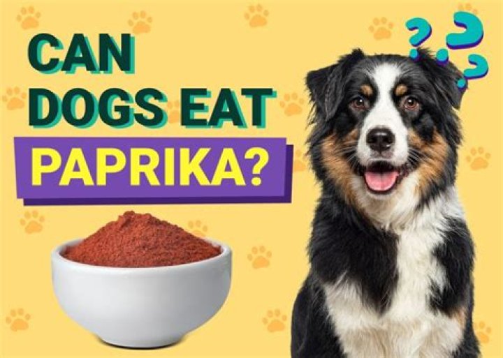 Can birds eat paprika?