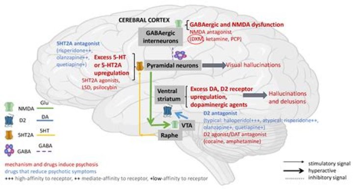 Can bupropion cause brain damage?