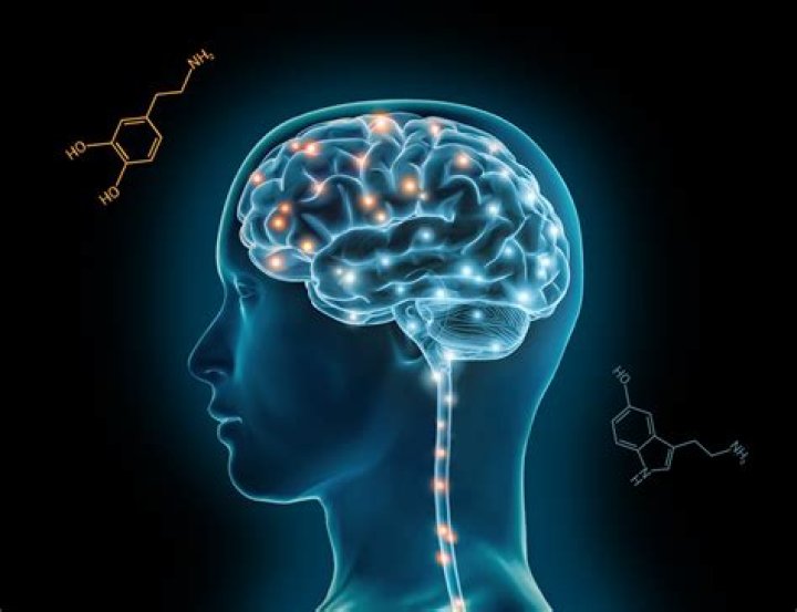 Can caffeine permanently alter brain?