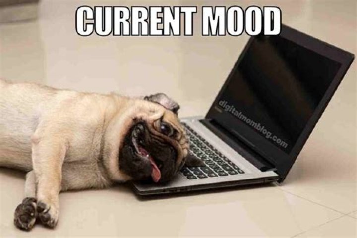 Can clopidogrel make you tired?