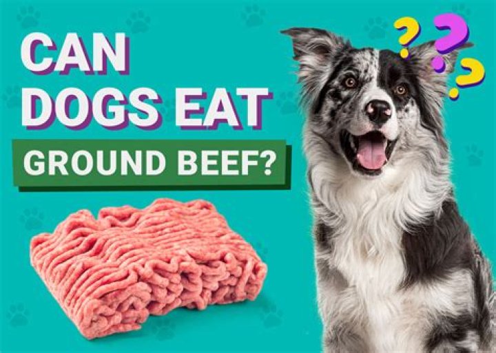 Can dogs eat beef ears?