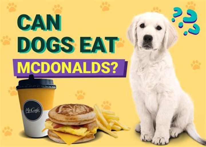 Can dogs eat McDonald's?