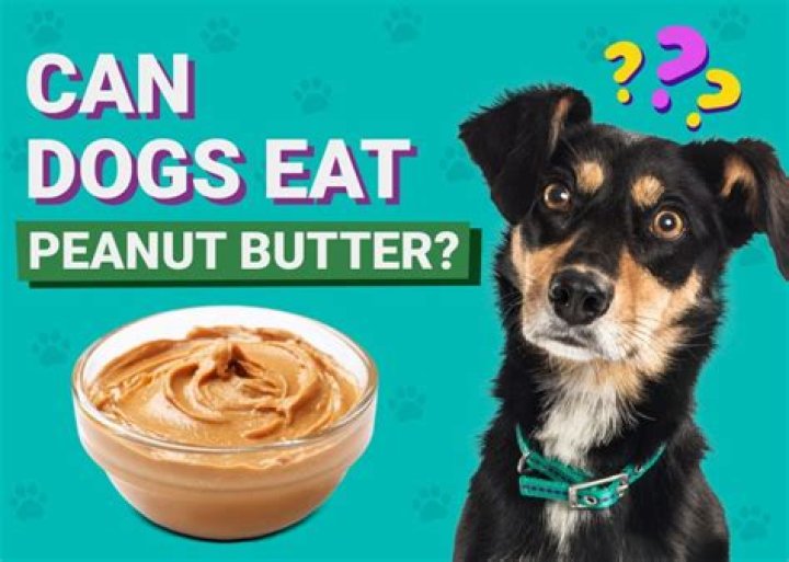 Can dogs eat peanut?