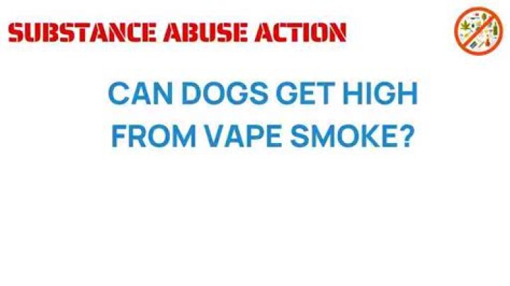 Can dogs get high from vape smoke?