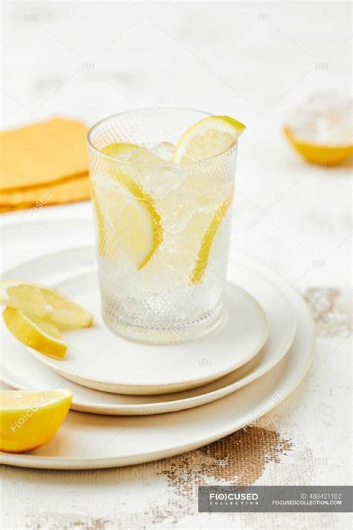 Can dogs have lemon ice?