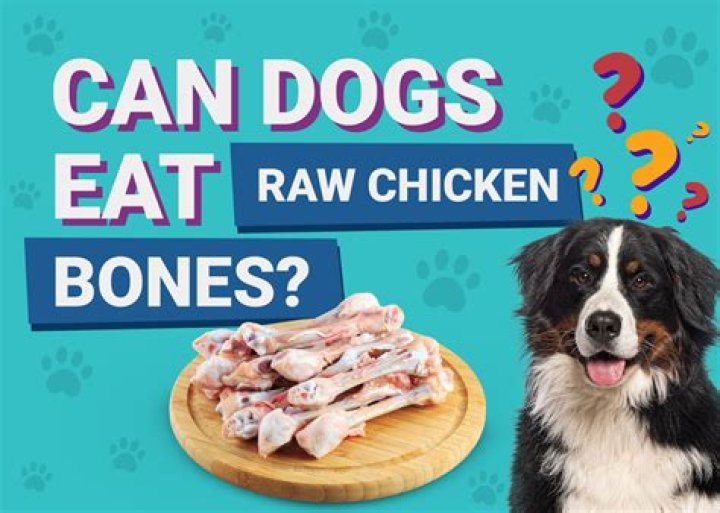 Can dogs miss a meal?
