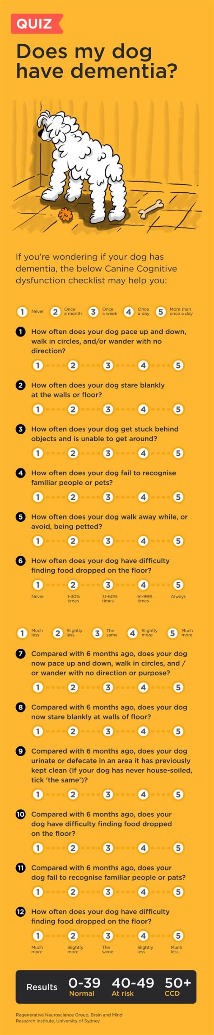 Can dogs sense dementia in humans?