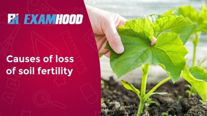 Can eating soil affect my unborn baby?