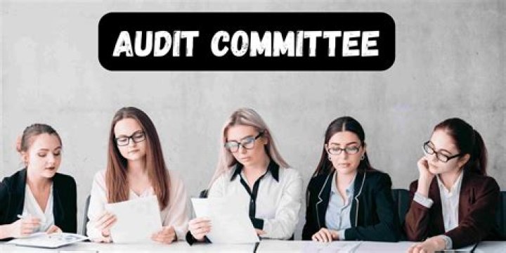 Can executive directors be on the audit committee?