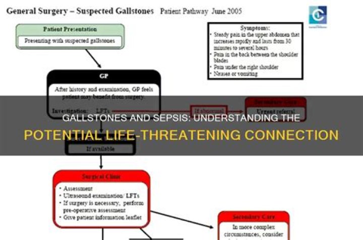 Can gallstones cause sepsis?