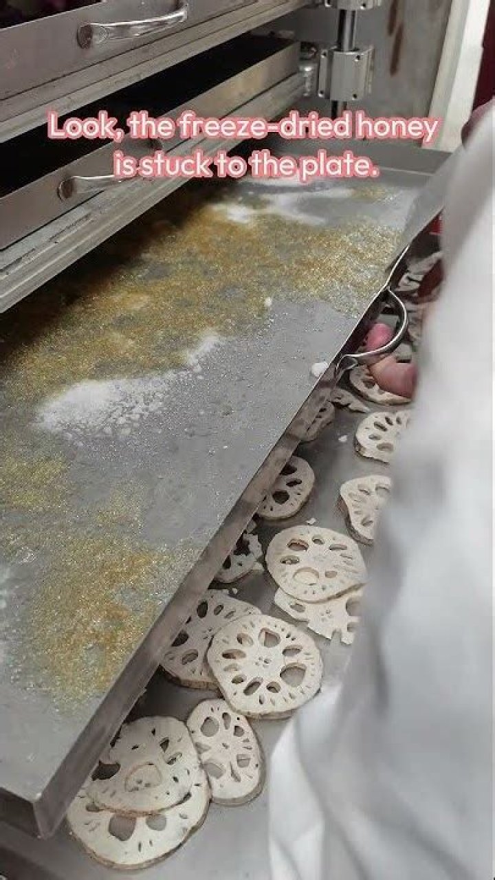 Can honey be freeze dried?