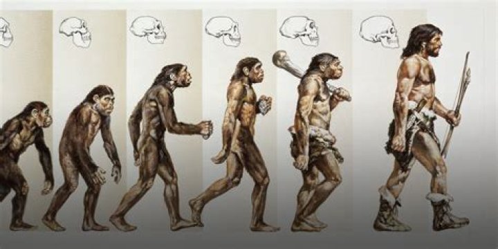 Can humans still evolve?