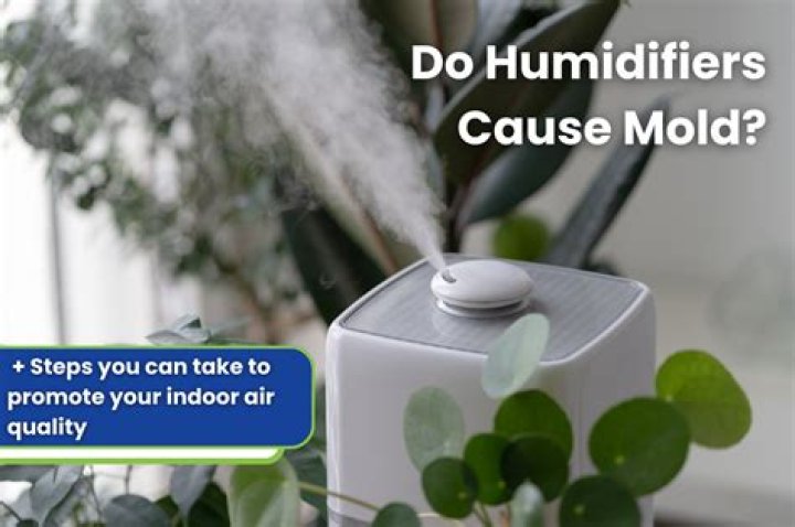 Can humidifier cause mold on walls?