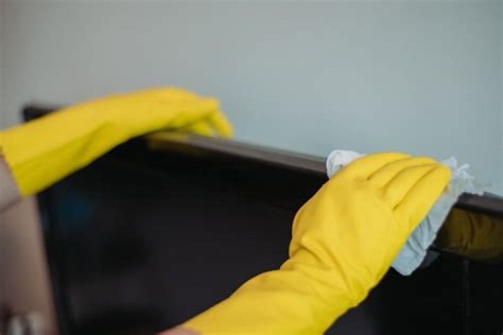 Can I clean my TV with Windex?