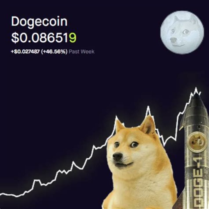 Can I lose money buying Dogecoin?