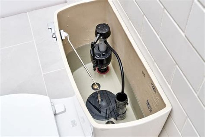 Can I pour CLR in my toilet tank?