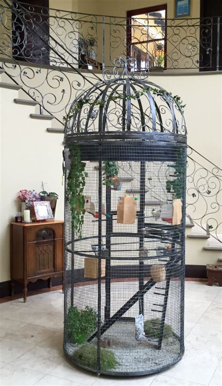 Can I put fake plants in my bird cage?