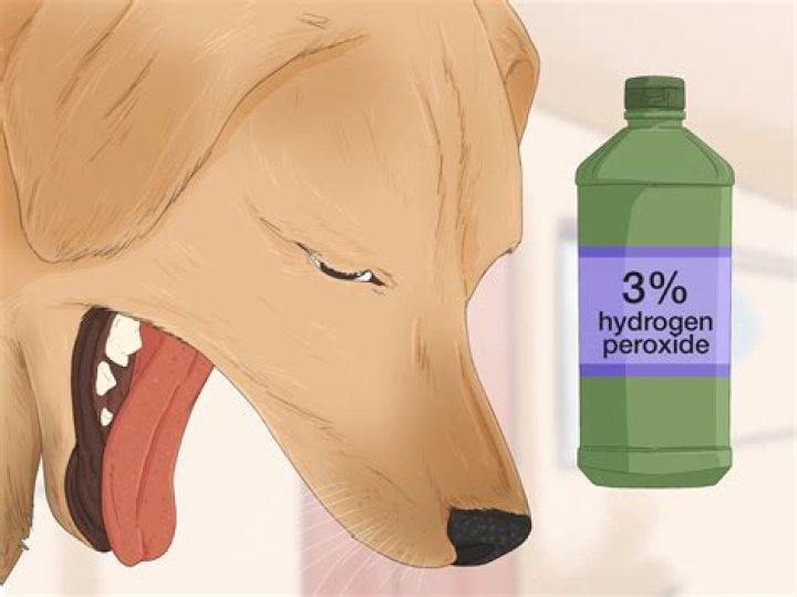 Can I put hydrogen peroxide on my dog's paws?
