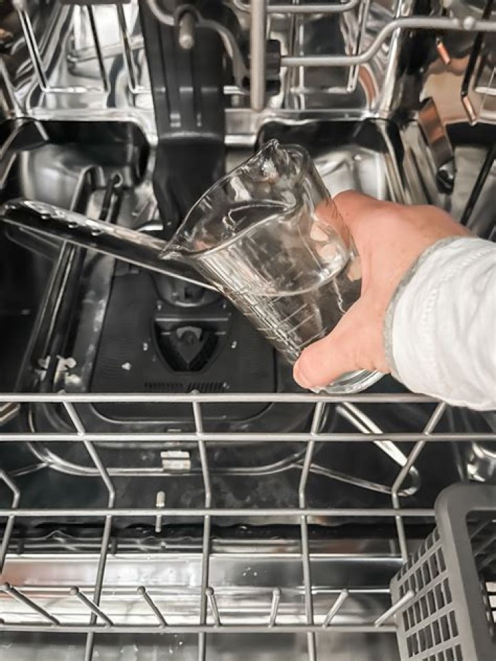 Can I put vinegar in dishwasher?