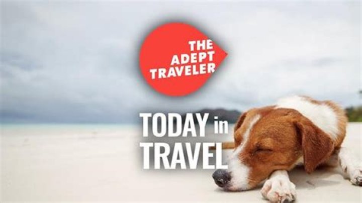 Can I take my dog to Puerto Rico?