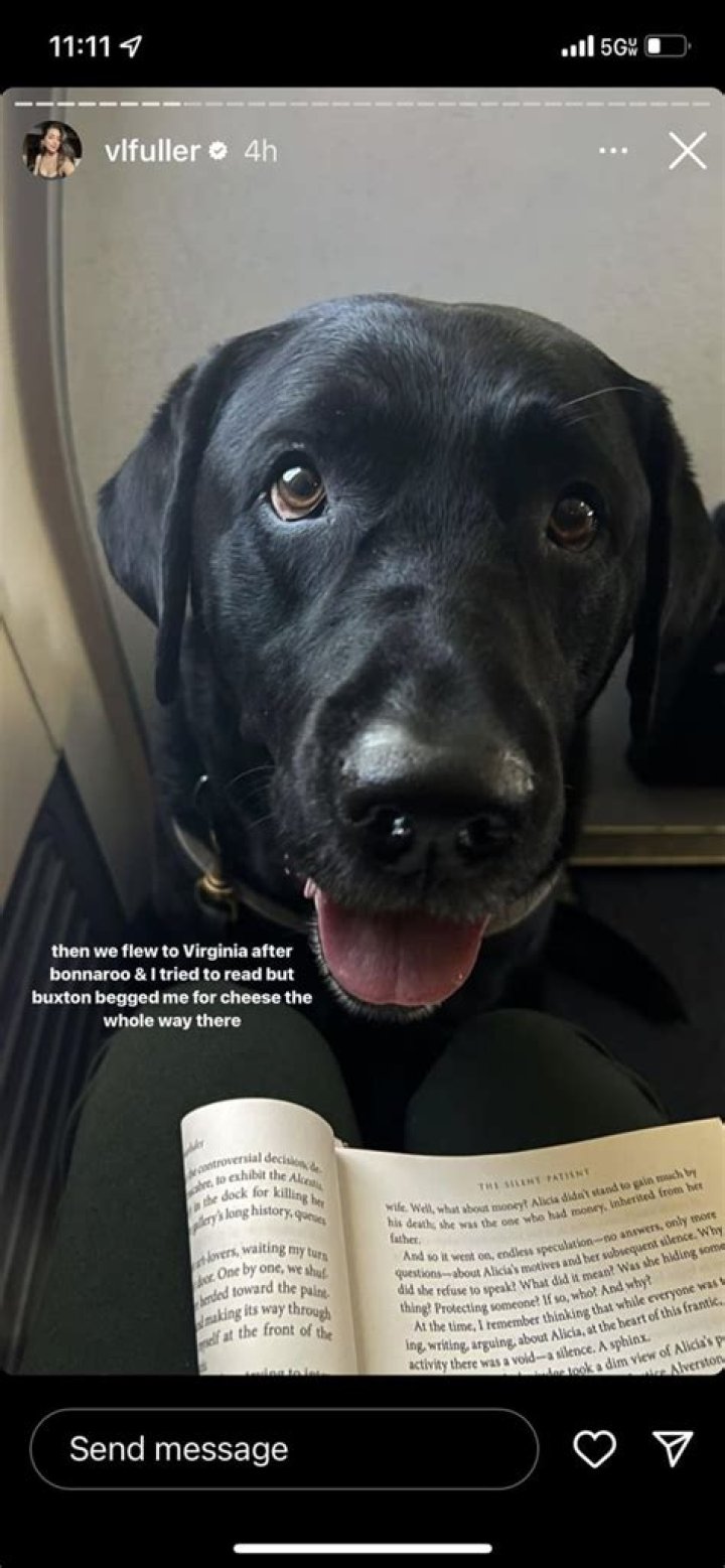 Can I take my Labrador on a plane?