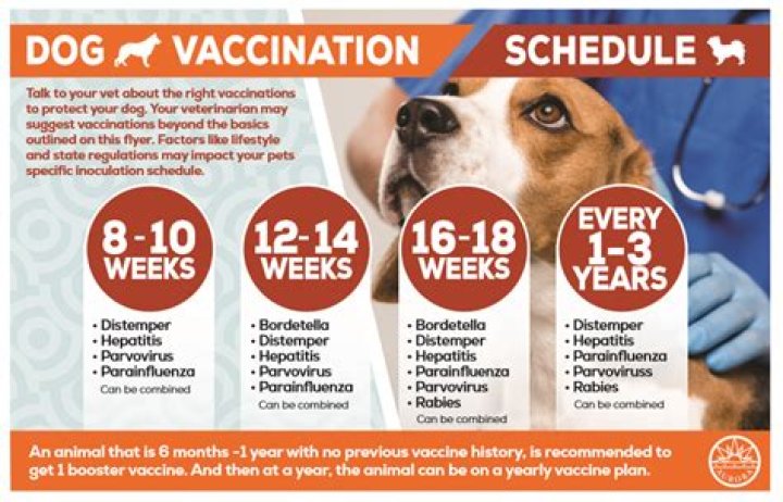 Can I take rabies vaccine after a month?
