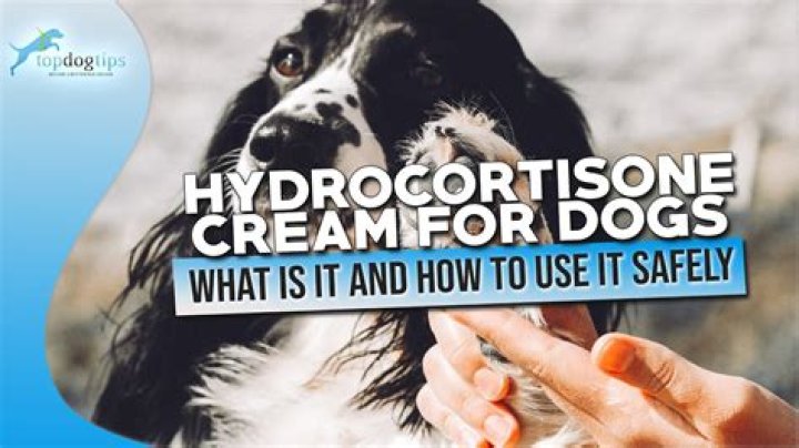 Can I use hydrocortisone cream on my dog?