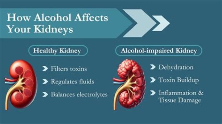 Can kidneys recover after COVID-19?