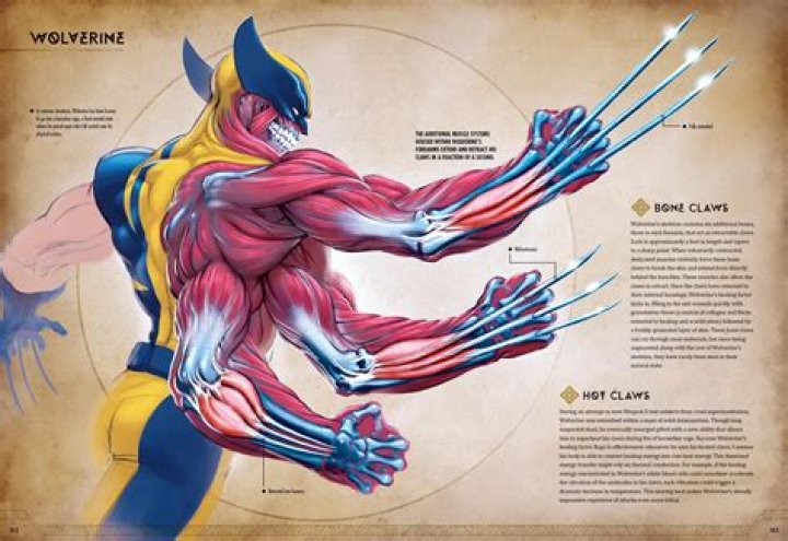 Can Magneto Bend Wolverine?