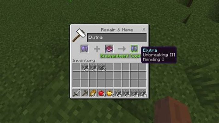 Can mending go on elytra?