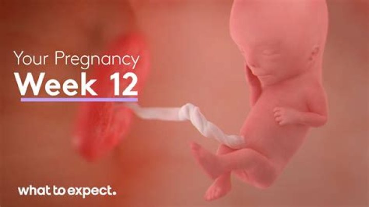 Can my baby feel me rubbing my belly at 12 weeks?