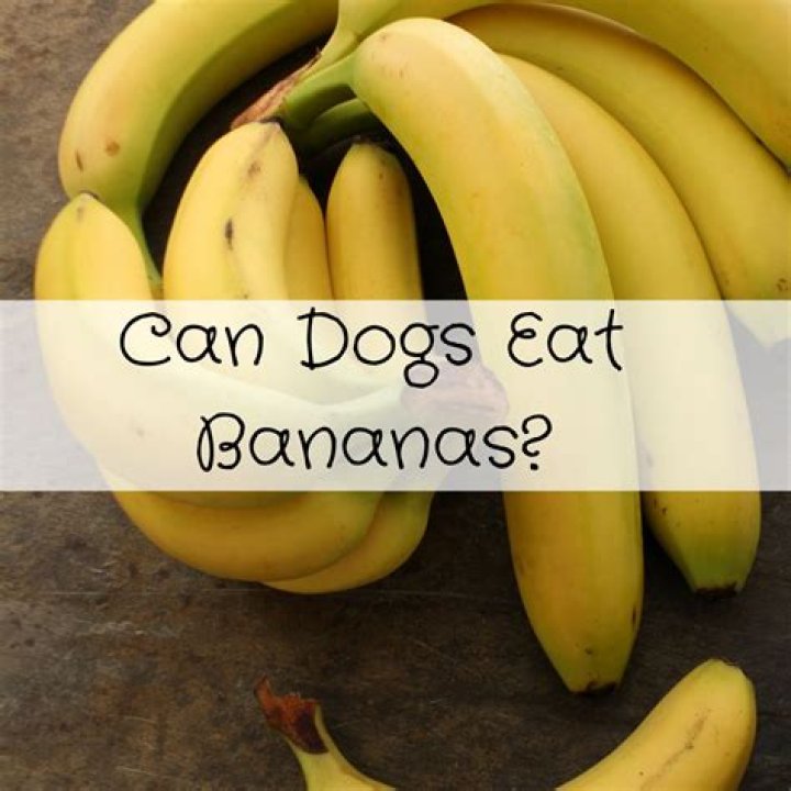 Can Oscars eat bananas?