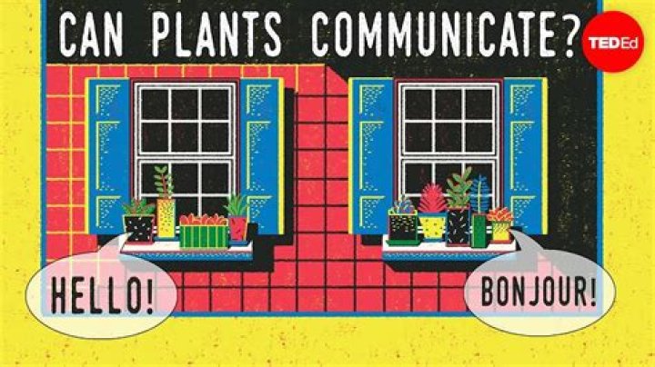 Can plants talk to each other?
