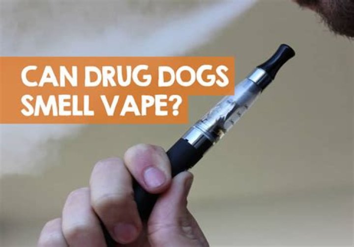 Can police dogs smell DAB pens?