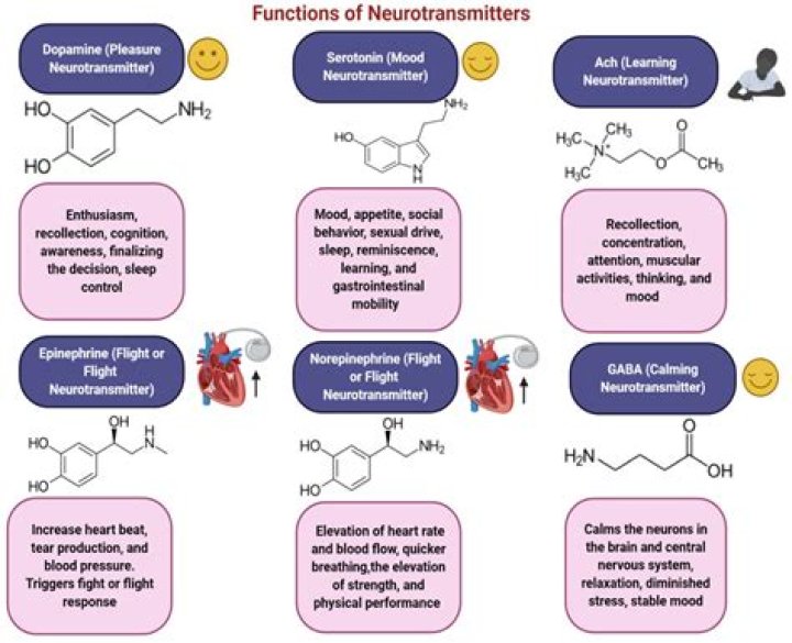Can serotonin syndrome affect heart?