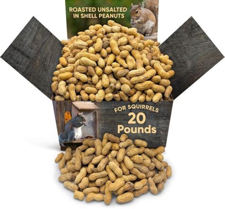 Can squirrels eat unsalted peanuts?