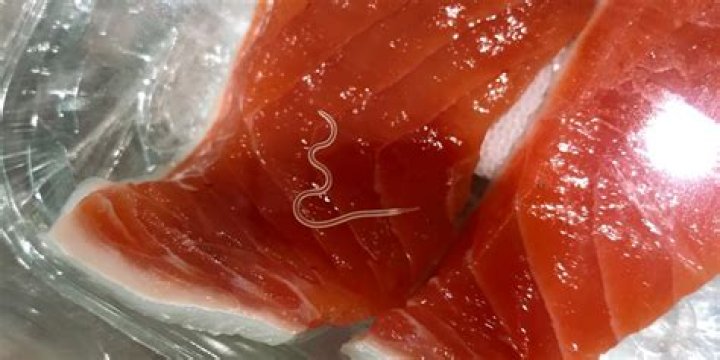 Can sushi give you parasites?