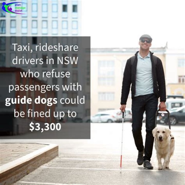 Can taxi drivers refuse guide dogs?
