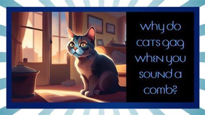 Can the sound of a comb hurt a cat?
