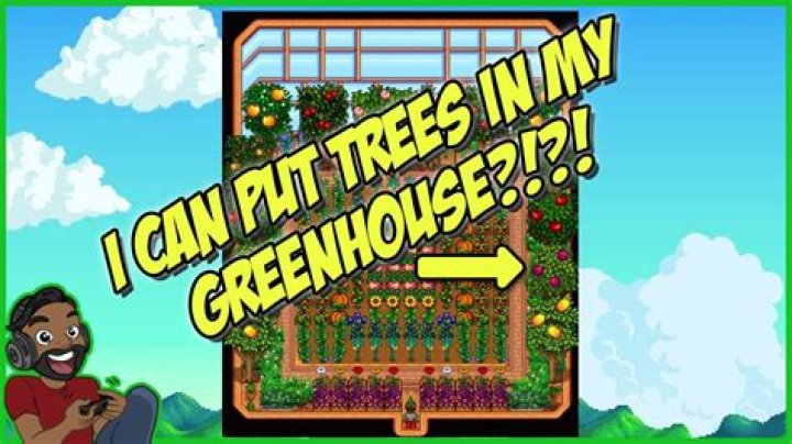 Can trees be friends with humans?