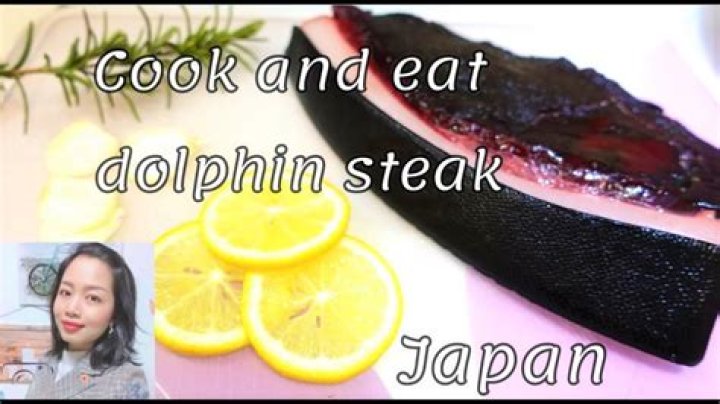 Can u eat dolphin?
