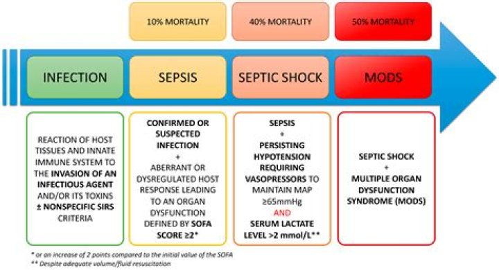 Can UTI lead to sepsis?