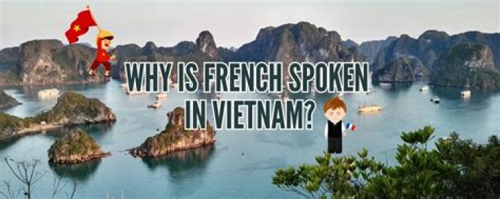 Can Vietnam speak French?
