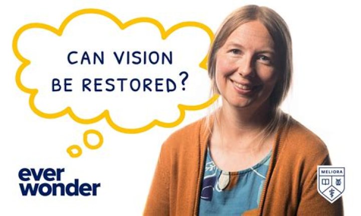 Can vision loss be restored?