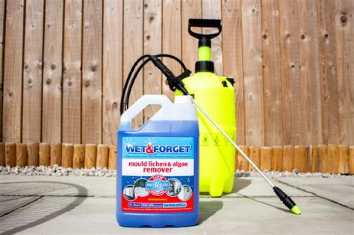 Can Wet and Forget be used on a car?