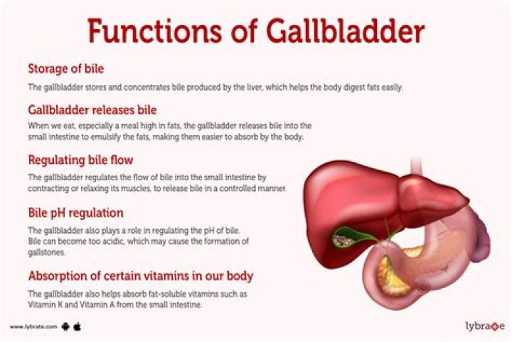 Can you absorb vitamin D without a gallbladder?