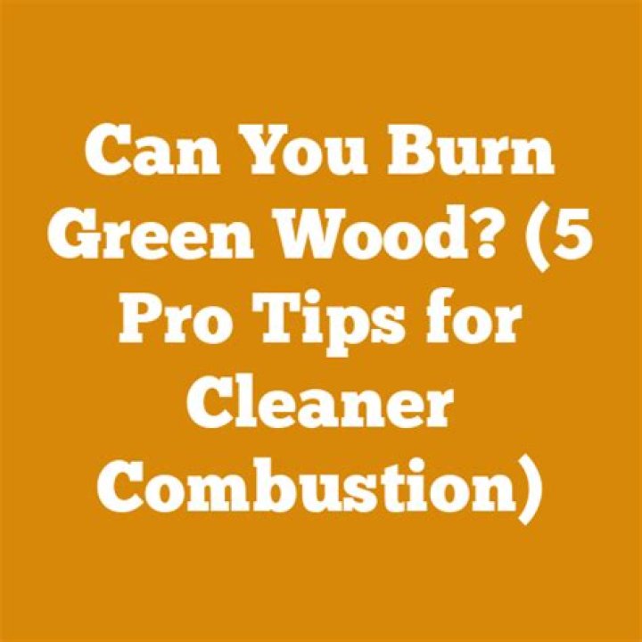 Can you burn green wood?